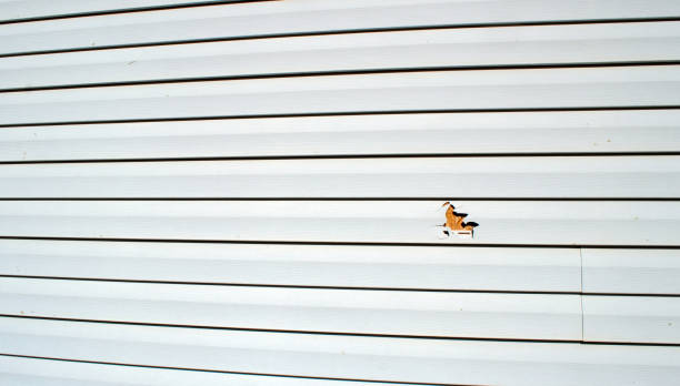 Best Siding for New Construction  in Oakland, MD